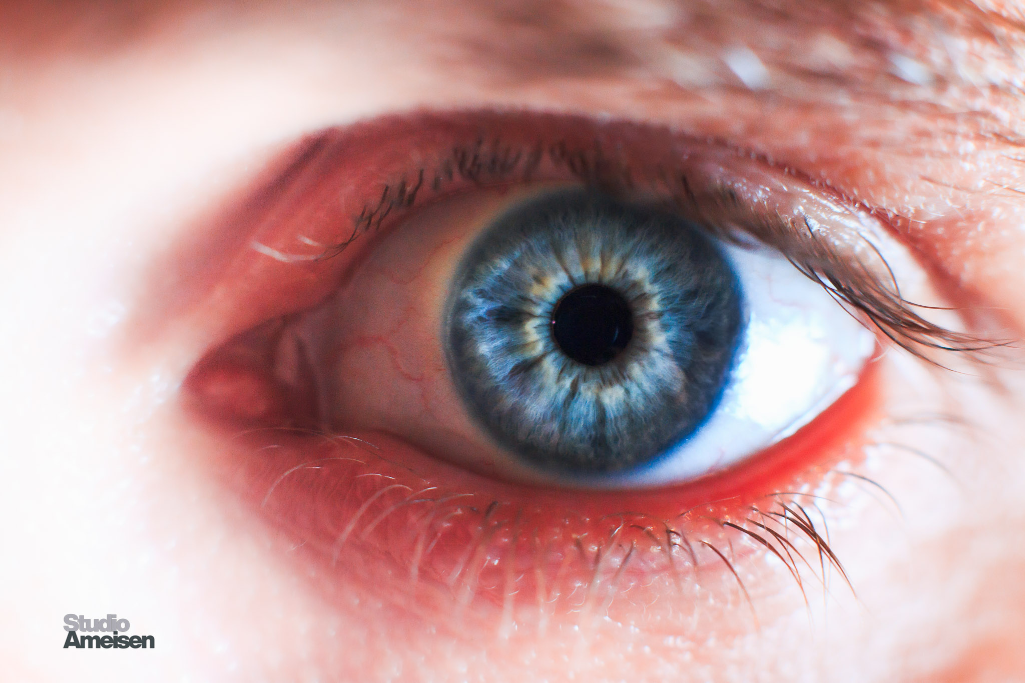 Studio Ameisen - Vision artistique